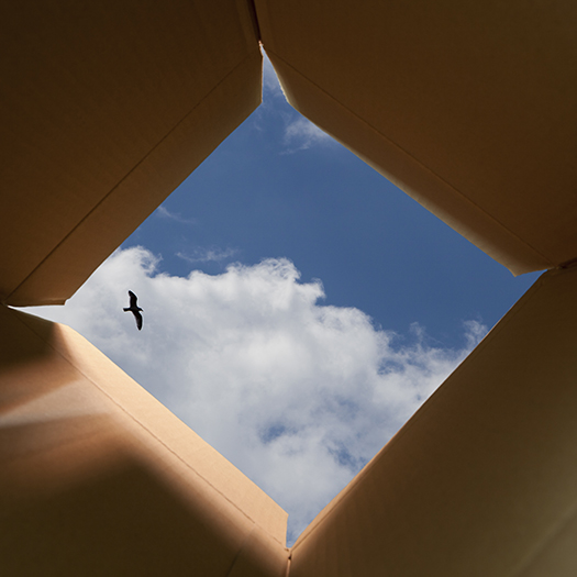 Looking up through the opening of a cardboard box at blue sky with white clouds and a bird flying in the distance.